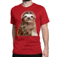 Little Sloth Kids Pullover E Classic T-shirt | Artistshot