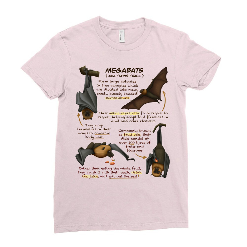 Megabat Fun Animal Fruit Bat Facts Kids Pullover Stars Ladies Fitted T-Shirt by nanedohoomae | Artistshot