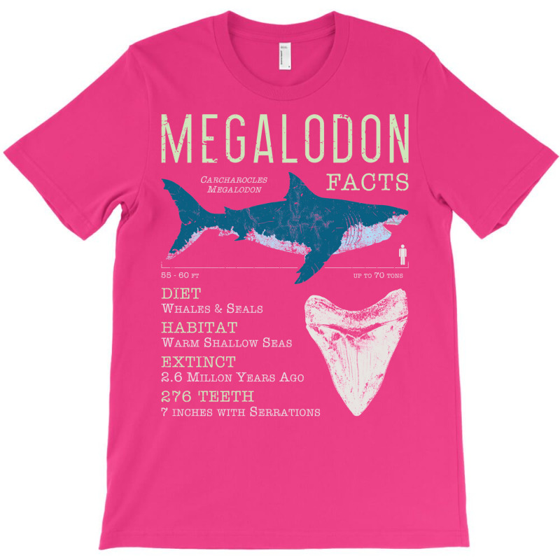 Megalodon Facts Kids Pullover E T-Shirt by nanedohoomae | Artistshot