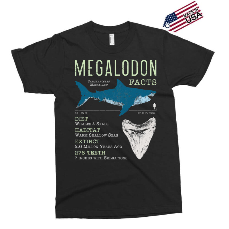 Megalodon Facts Kids Pullover E Exclusive T-shirt by nanedohoomae | Artistshot