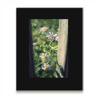 Porch Rail Aster Metal Print Vertical | Artistshot