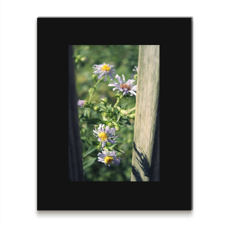 Porch Rail Aster Metal Print Vertical | Artistshot