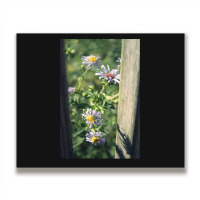 Porch Rail Aster Metal Print Horizontal | Artistshot