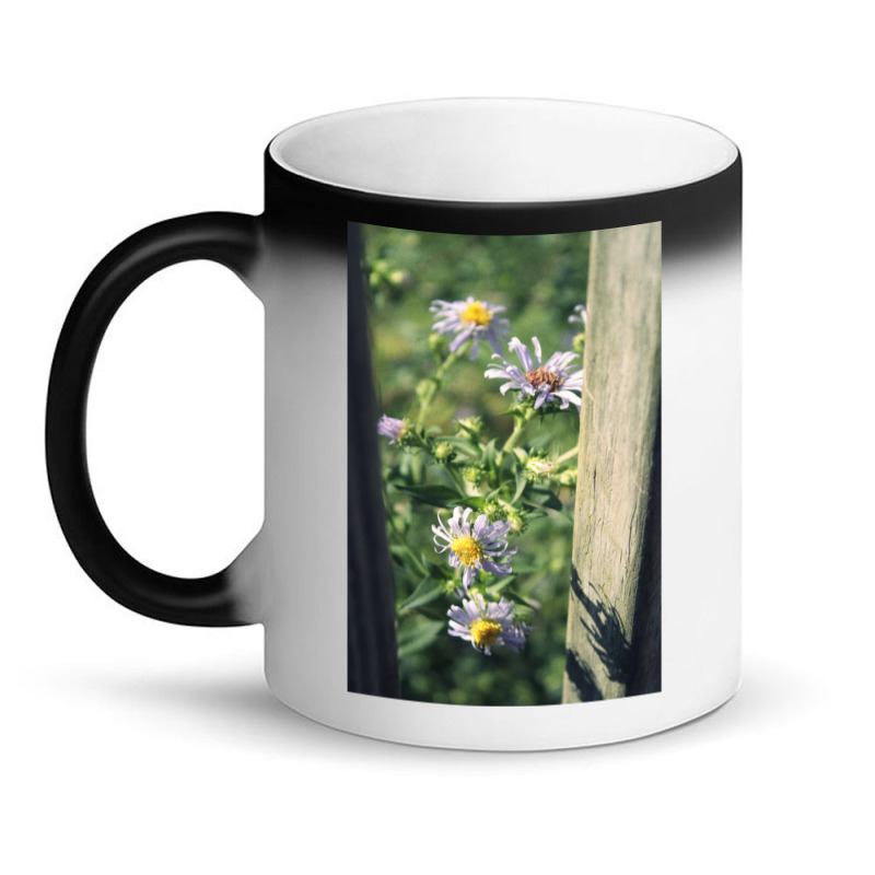 Porch Rail Aster Magic Mug | Artistshot