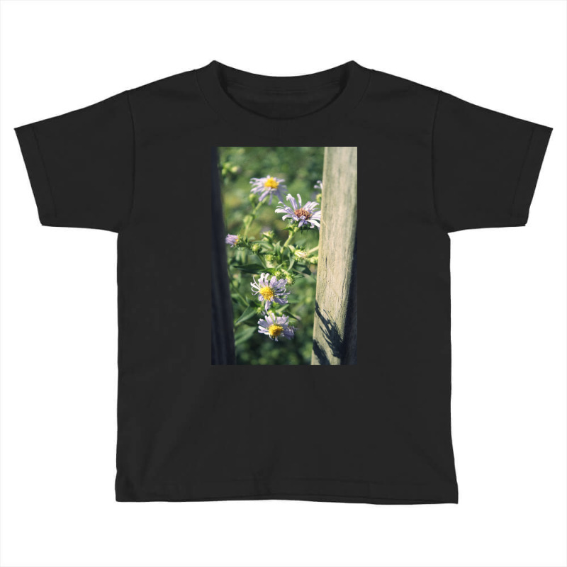 Porch Rail Aster 2 Toddler T-shirt | Artistshot