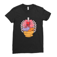 Organs Made Out Of Cats Ladies Fitted T-shirt | Artistshot