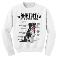 Funny Anatomy Border Collie Dog Lover Gift T Shirt Youth Sweatshirt | Artistshot