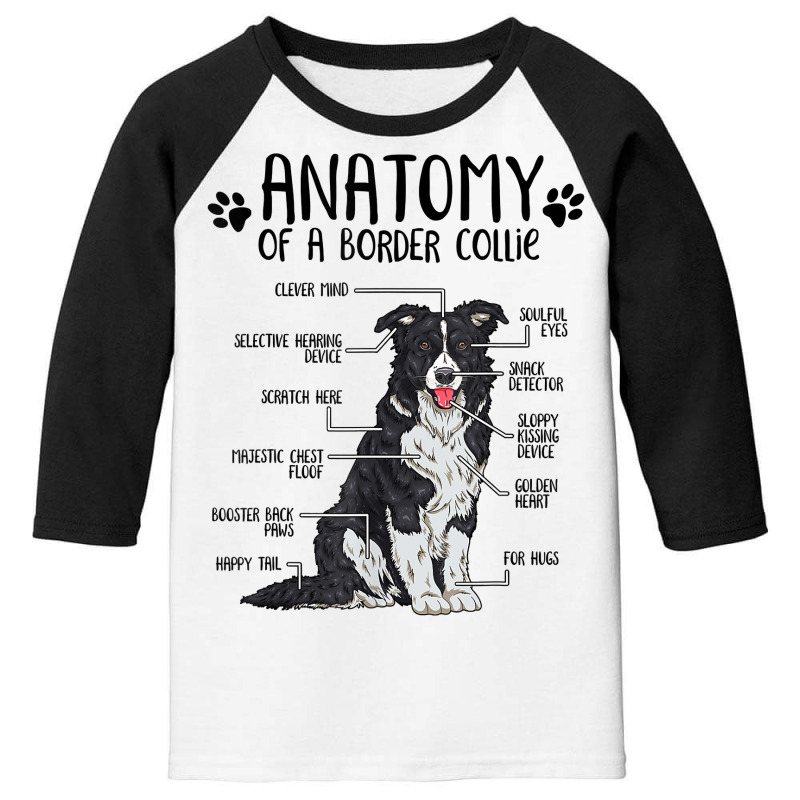 Funny Anatomy Border Collie Dog Lover Gift T Shirt Youth 3/4 Sleeve by TeaMenShop | Artistshot