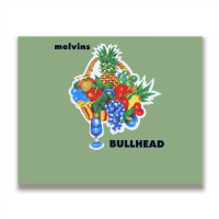 Bullhead Metal Print Horizontal | Artistshot