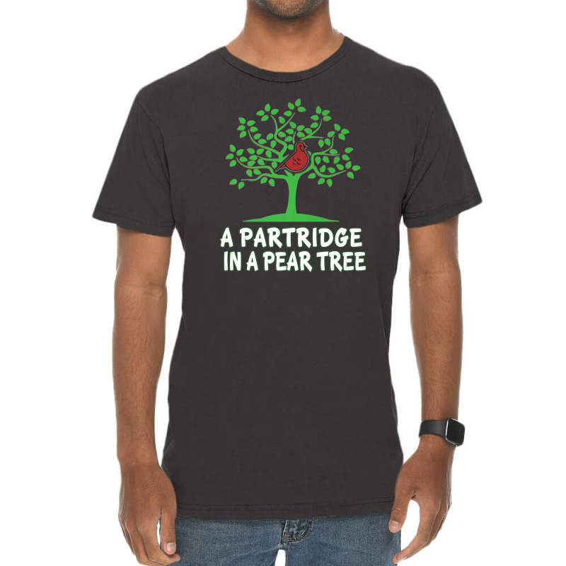 A Partridge In Pear Song 12 Days Christmas Vintage T-shirt | Artistshot