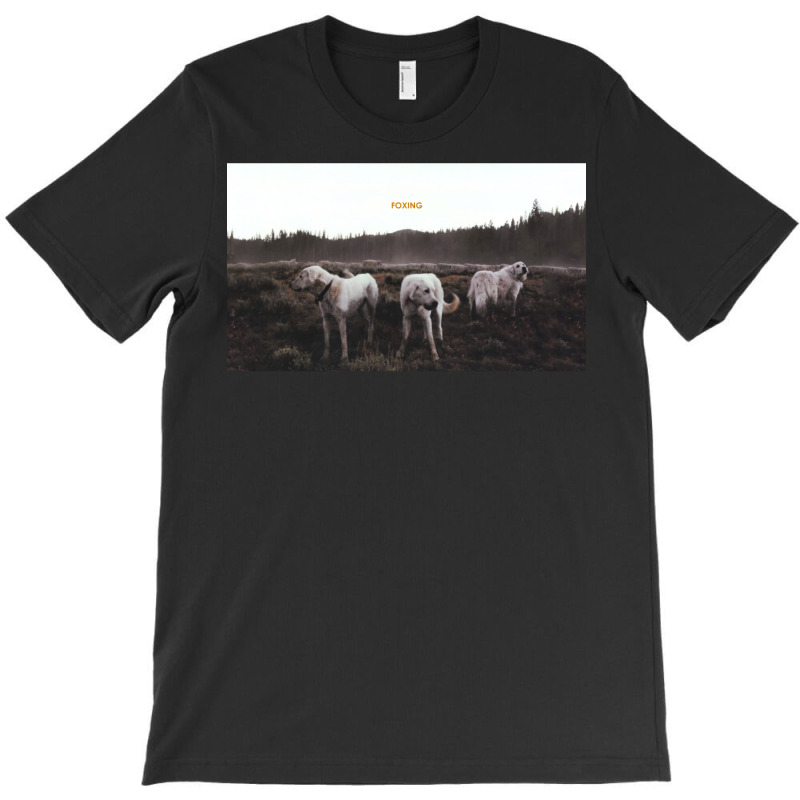 Foxing  Album Artwork T-Shirt by meynyanassg | Artistshot