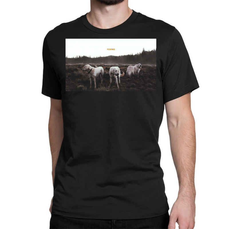 Foxing  Album Artwork Classic T-shirt by meynyanassg | Artistshot