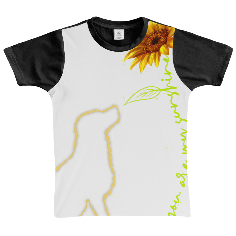 Cute Dog , You Are My Sunshine Labrador Retriever Graphic Youth T-shirt by JamesArtists | Artistshot