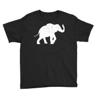 Distressed Elephant Silhouette Youth Tee | Artistshot