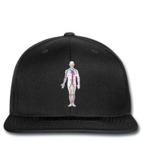 Circulatory System Anatomy Chart Arteries Veins Printed Hat | Artistshot