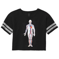 Circulatory System Anatomy Chart Arteries Veins Scorecard Crop Tee | Artistshot