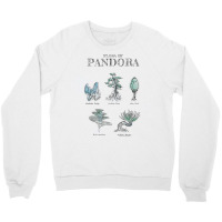 Avatar Floral Of Pandora Textbook Sketches Raglan Baseball Tee Crewneck Sweatshirt | Artistshot