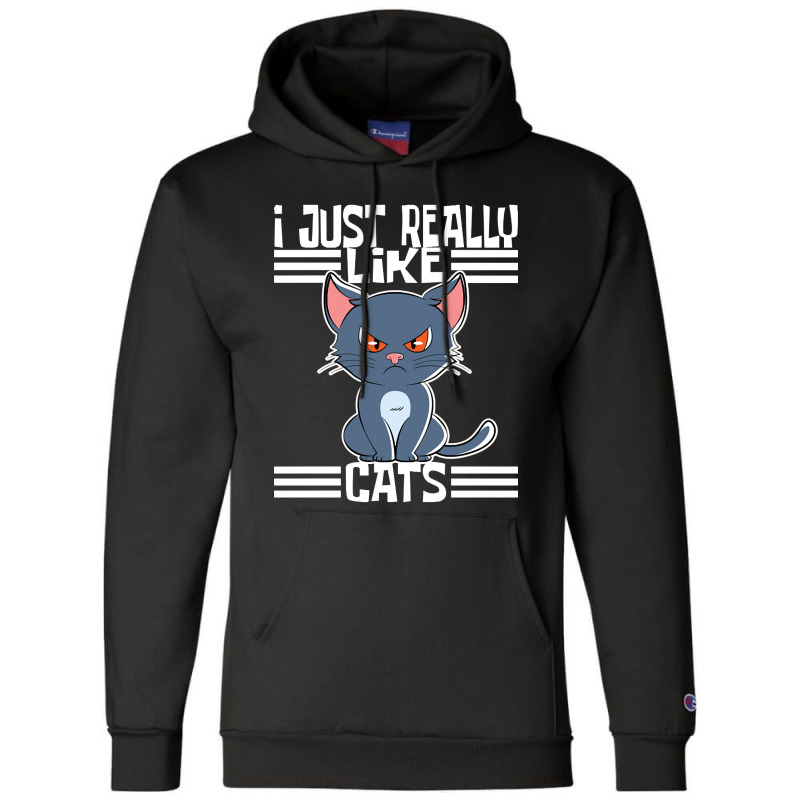 Trending I Just Really Like Cats-rdimm Champion Hoodie | Artistshot