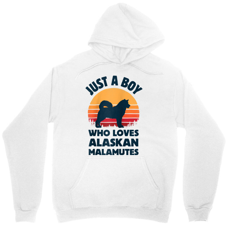 Alaskan Malamute Just A Boy Who Loves Retro Vintage Sunset Raglan Base Unisex Hoodie | Artistshot