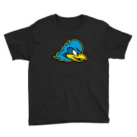 Delaware Blue Hens Youth Tee | Artistshot