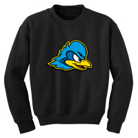 Delaware Blue Hens Youth Sweatshirt | Artistshot