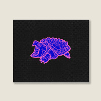 Limited Edition Alligator Snapping Turtle - Reptile - Wildlife - Cute Landscape Canvas Print | Artistshot