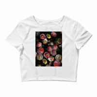 Antique Jan Davidsz De Heem Botanical Night Garden Poster Nostalgia Crop Top | Artistshot