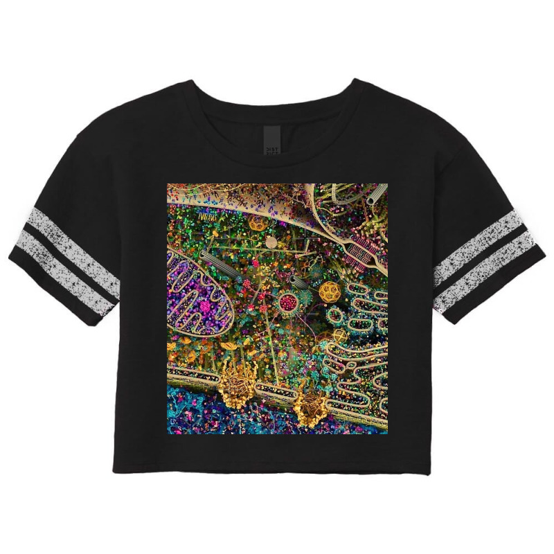 Human Cell Detailed Scorecard Crop Tee by diehlgwend | Artistshot