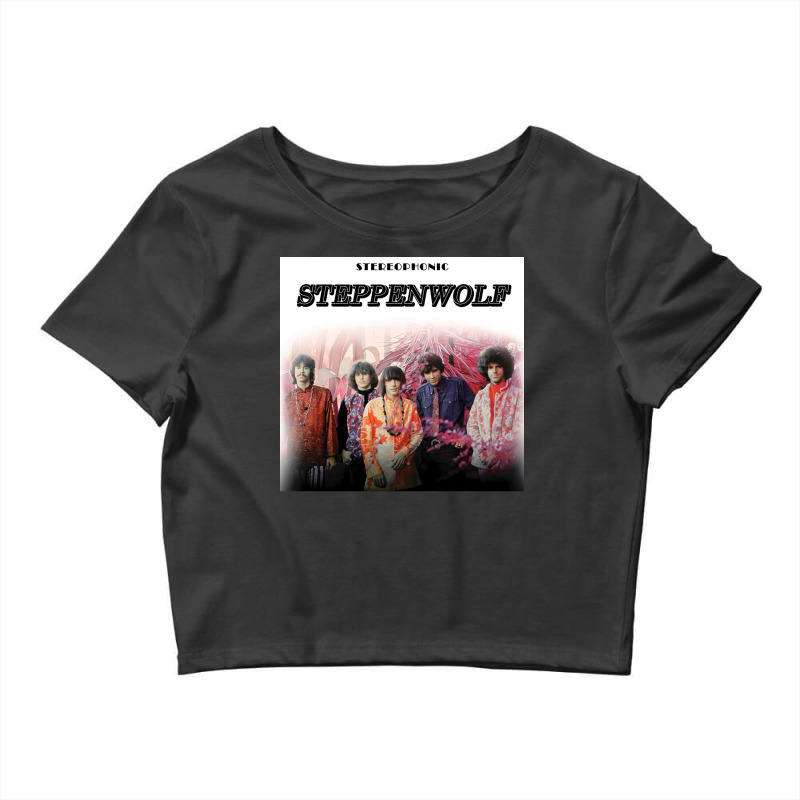 Steppenwolf (hq) Crop Top by bommeheirou | Artistshot