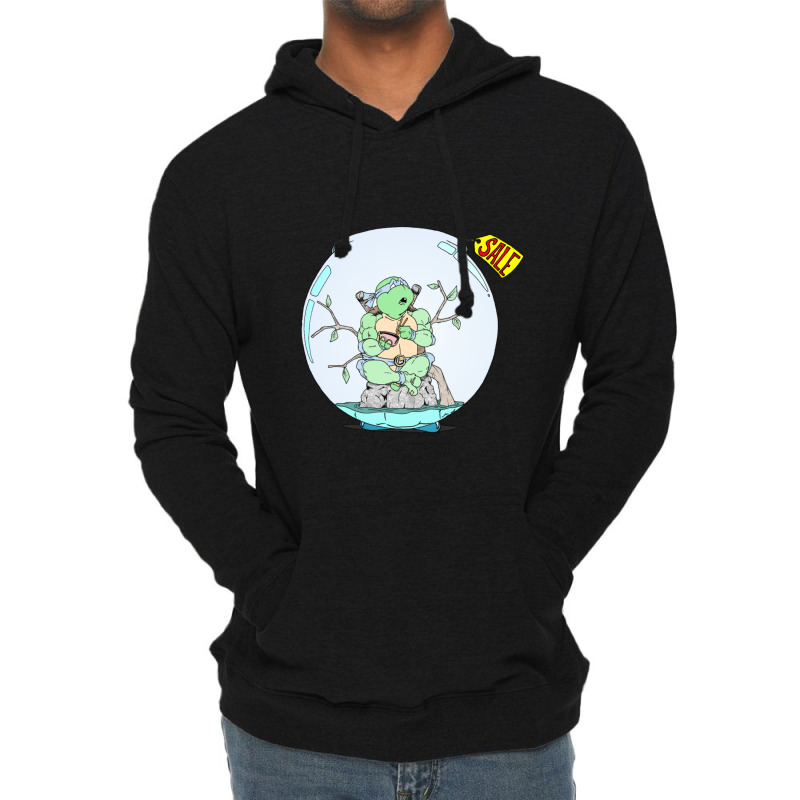 Turtle For Sale 1 Lightweight Hoodie | Artistshot