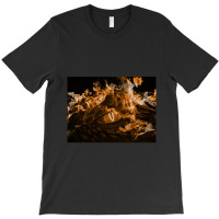 Dragon Eye Festival  11 T-shirt | Artistshot