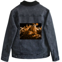 Dragon Eye Festival  11 Unisex Sherpa-lined Denim Jacket | Artistshot