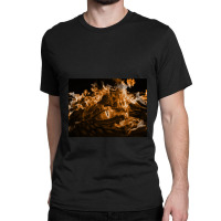 Dragon Eye Festival  11 Classic T-shirt | Artistshot