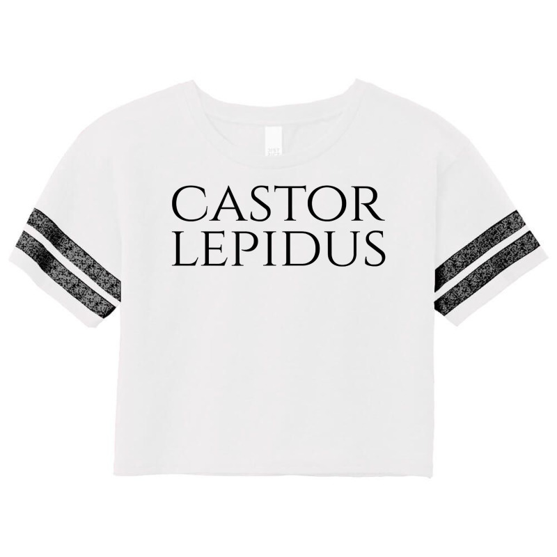 Castor Lepidus   Nice Beaver   Ambiguous Adult Humor   Latin T Shirt Scorecard Crop Tee by alysestick8m7 | Artistshot