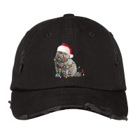 Exotic Shorthair Cat Christmas Lights Xmas Cat Lover T Shirt Vintage Cap | Artistshot