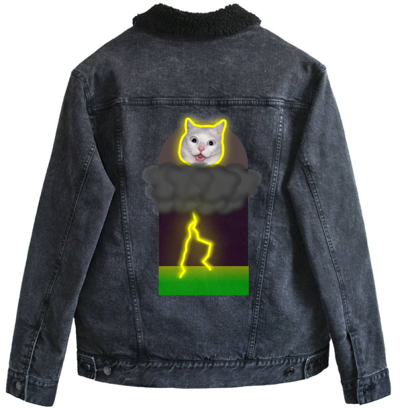 Cat Lightning Memet Unisex Sherpa-Lined Denim Jacket by CAMMIGRAHAM | Artistshot