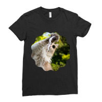 Cat Lightning Of A Cute Persian Cat With White Lightning Paws  Cat Art Ladies Fitted T-shirt | Artistshot