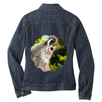 Cat Lightning Of A Cute Persian Cat With White Lightning Paws  Cat Art Ladies Denim Jacket | Artistshot