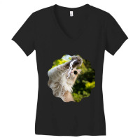 Cat Lightning Of A Cute Persian Cat With White Lightning Paws  Cat Art Women's V-neck T-shirt | Artistshot