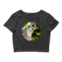 Cat Lightning Of A Cute Persian Cat With White Lightning Paws  Cat Art Crop Top | Artistshot