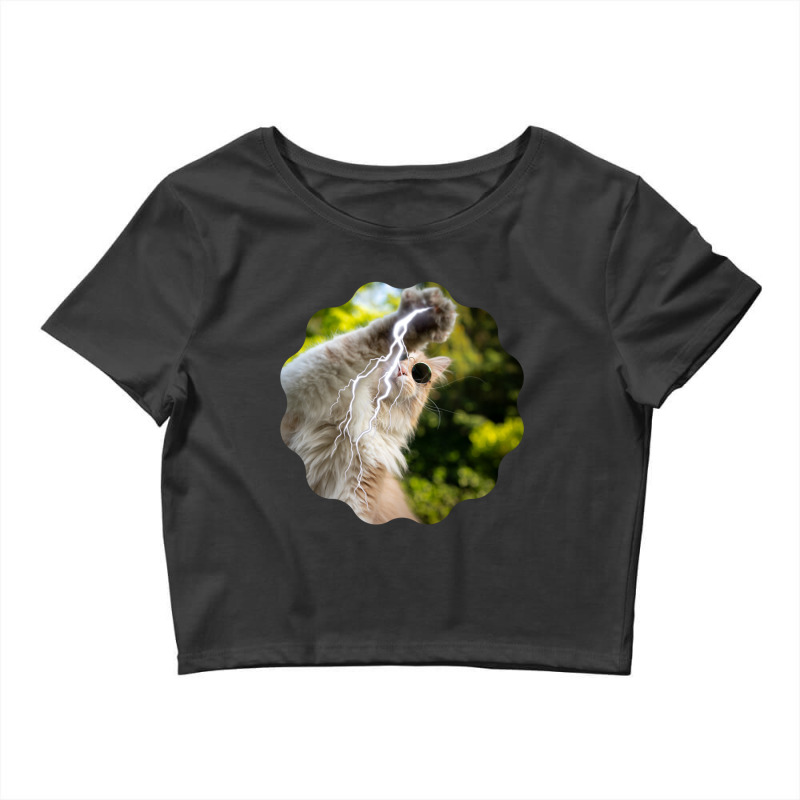 Cat Lightning Of A Cute Persian Cat With White Lightning Paws  Cat Art Crop Top by CAMMIGRAHAM | Artistshot