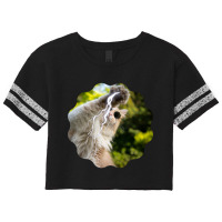 Cat Lightning Of A Cute Persian Cat With White Lightning Paws  Cat Art Scorecard Crop Tee | Artistshot