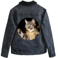 Cat Lightning Of A Cute Tabby Cat With White Lightning  Cat Art Gifts  Unisex Sherpa-lined Denim Jacket | Artistshot