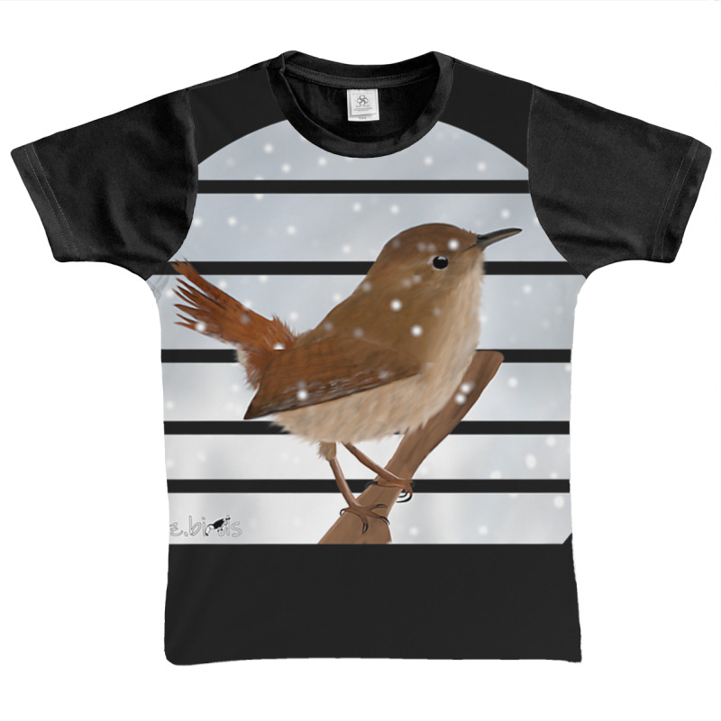 Wren Bird Snow Birdlover Birdwatcher Animal Biologist Premium Graphic Youth T-shirt by JosephWDaniels | Artistshot