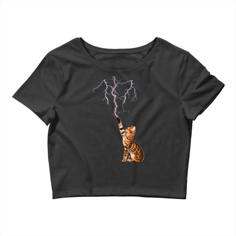 Cat Lightning. Cat Shooting Lightning. Crop Top by CAMMIGRAHAM | Artistshot