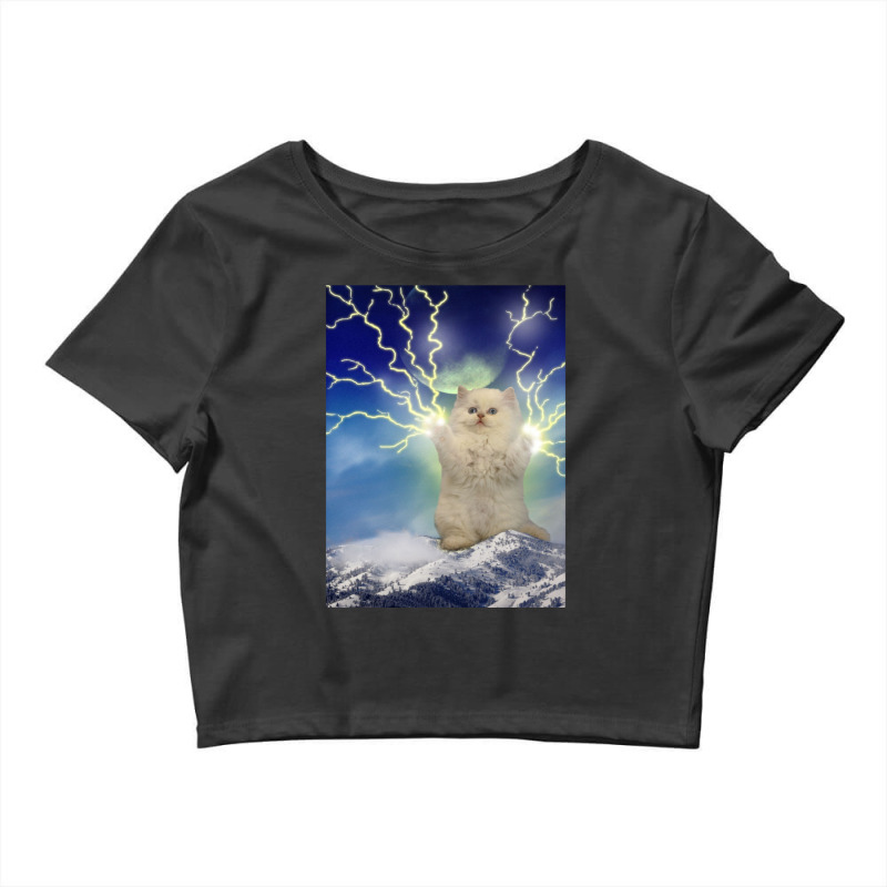 Thunder Cat Graphic Crop Top by CAMMIGRAHAM | Artistshot