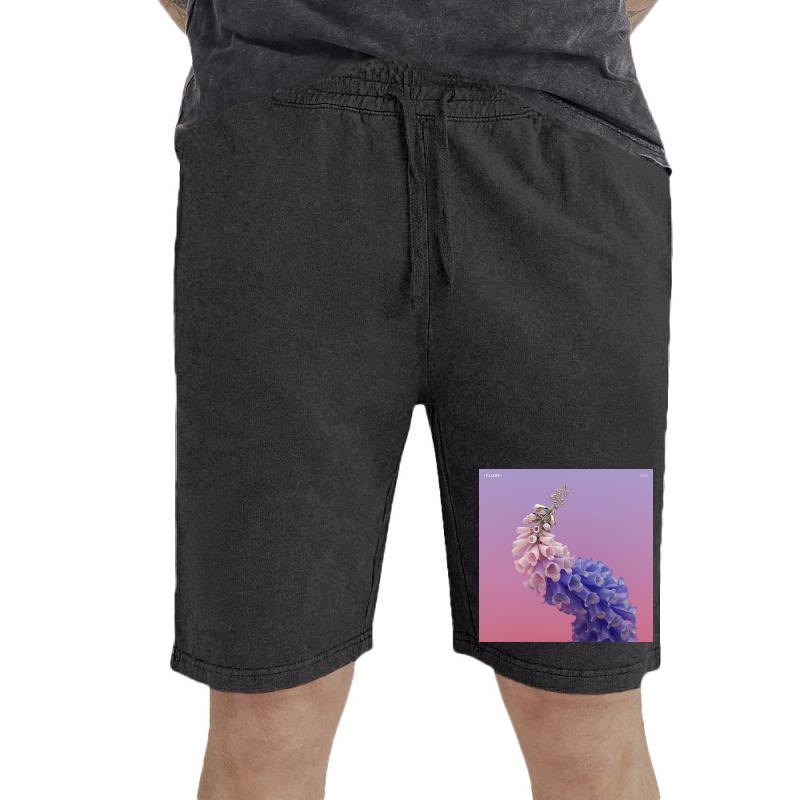 Album Flume Skin Vintage Short | Artistshot