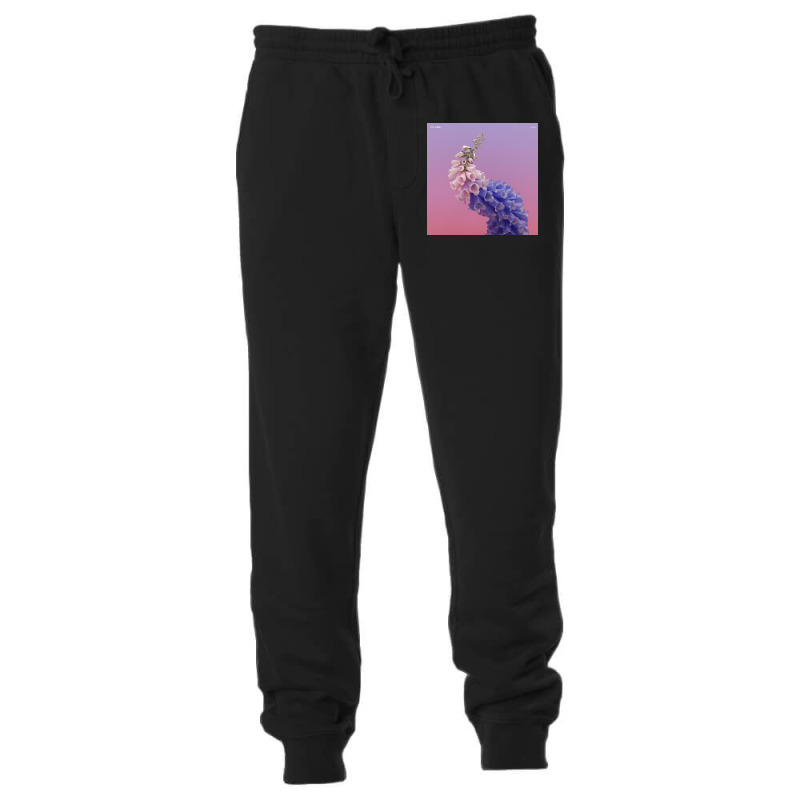 Album Flume Skin Unisex Jogger | Artistshot