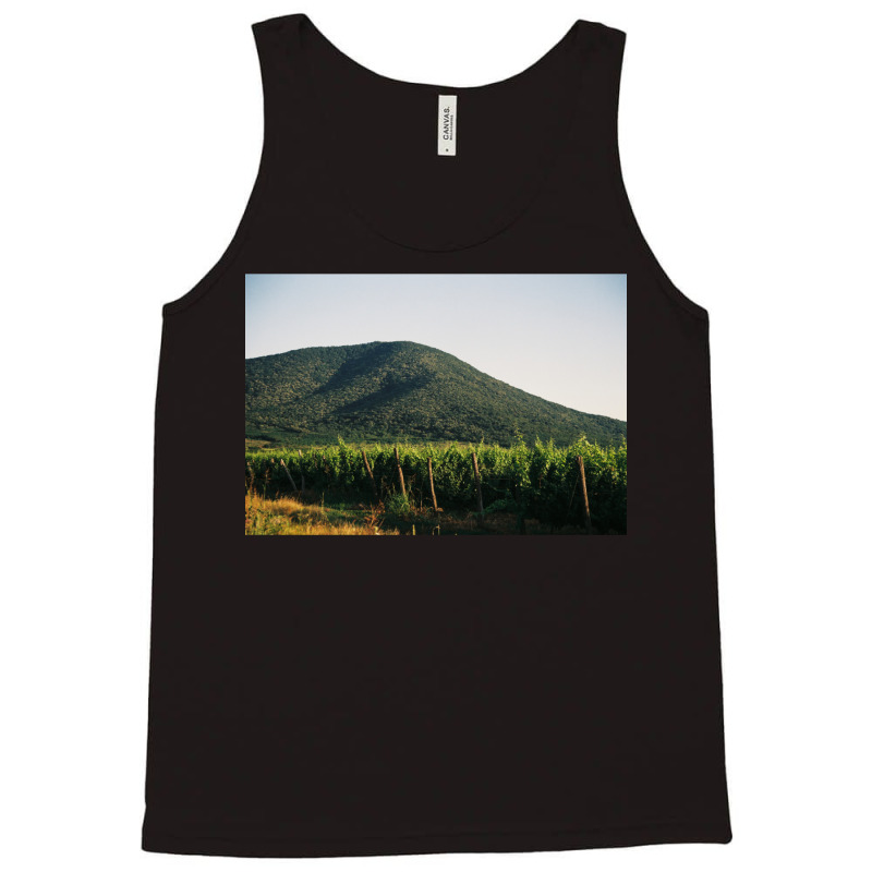 Hill With The Vineyard  Classic  Summer Green Tank Top | Artistshot