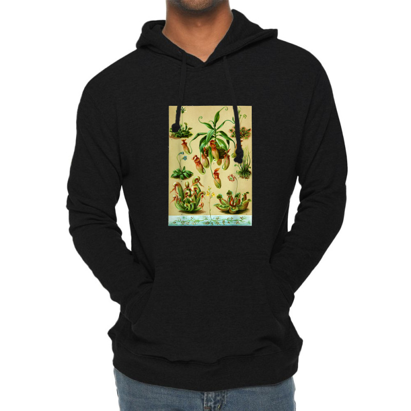 Vintage Carnivorous Plants Sarracenia Botanical Lightweight Hoodie | Artistshot